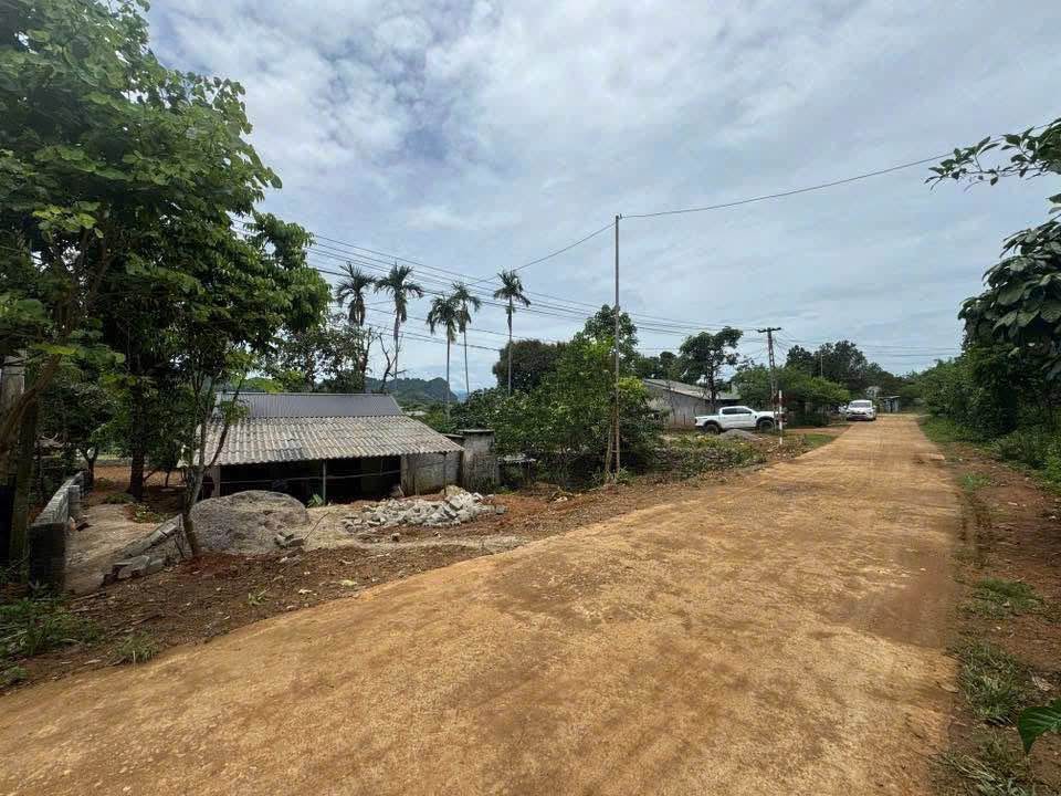 Bán gần 1000M full thổ cư bám đường liên xã 2 ô tô tránh_đất vuông vắn_Cao Phong Hoà Bình_1,x tỷ - Ảnh 2